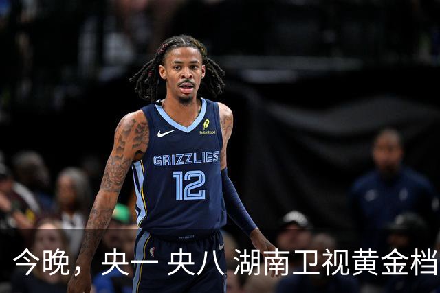 今晚，央一 央八 湖南卫视黄金档排播4部好剧！阵容不错，追哪部？