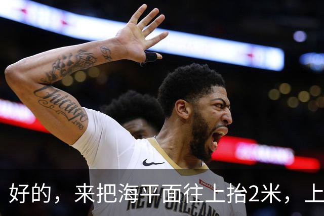 好的，来把海平面往上抬2米，上海人你们自己掂量掂量后果吧